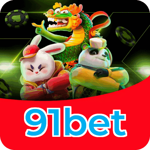 Verificação KYC 91bet